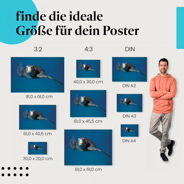 Meeresschildkröte Poster: Blauer Ozean - jetzt Postergröße wählen!